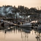 Yaquina Bay Morning